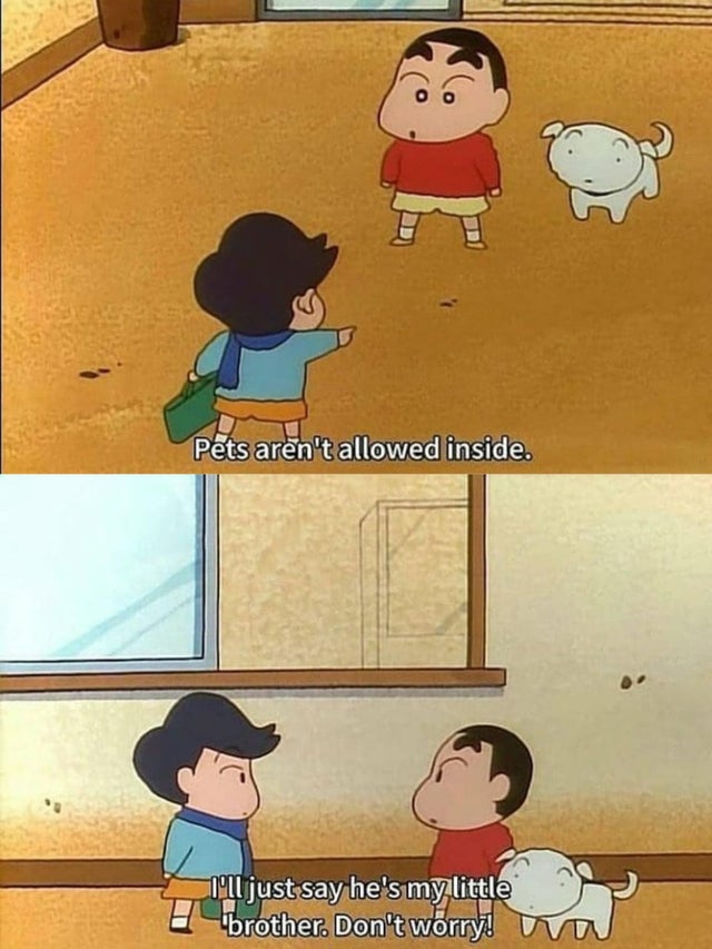 WholesomeMemes (@wholesomememe) on Twitter photo 