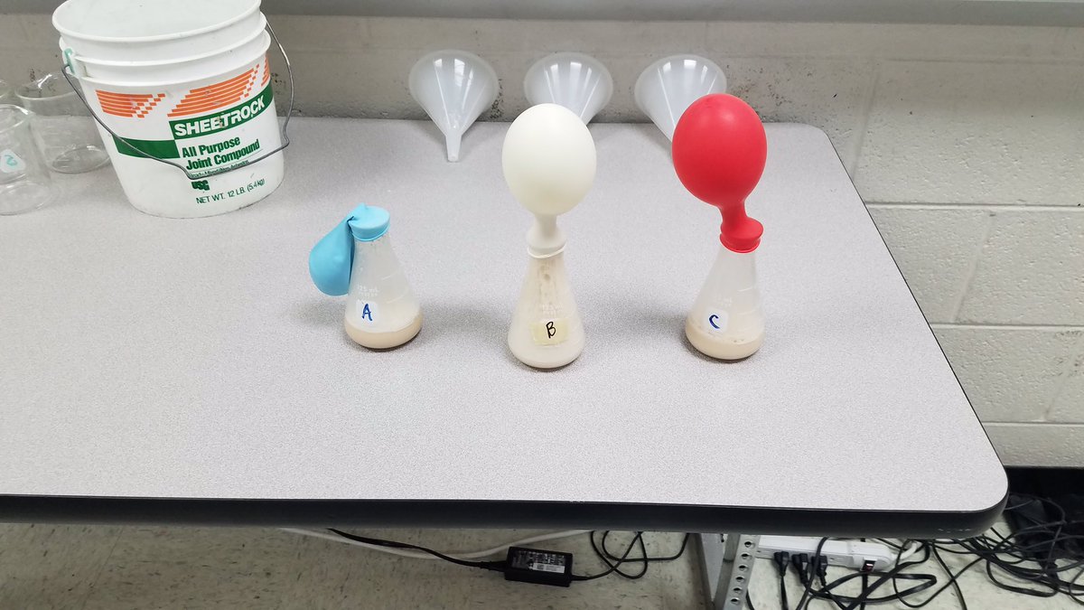 Mr. Thompson’s 7th grade students did a fermentation lab where they had to hypothesize which would produce the most or least amount of gas. The blue (cold water), White (warm water), and Red (hot water).