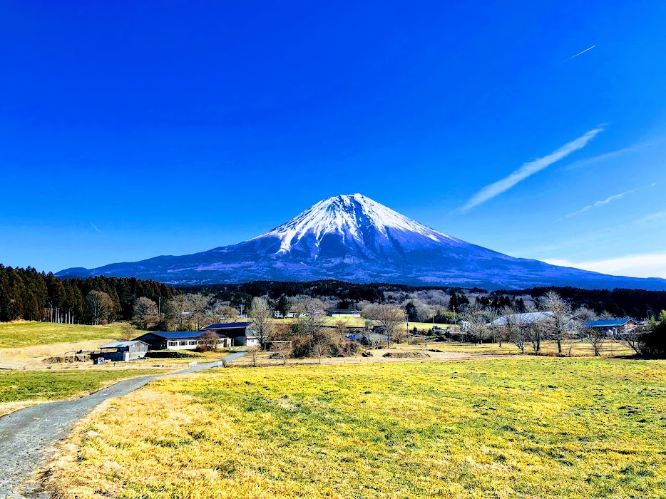 グーグルフォトが勝手に写真を仕上げてくれた。富士宮市から見た富士山。 ＃富士宮市