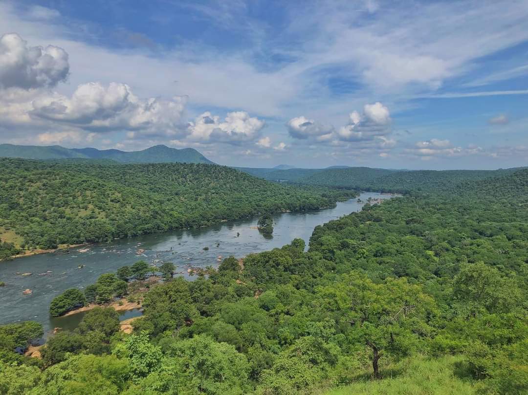 Pai1288's tweet photo. Karnataka requires environmental guidelines based on scientific studies not contractors’ self-interest.These scientific guidelines can be found in the Kasturirangan Report &amp; Madhav-Gadgill Report of the past decade.We don’t want a destructive dam in Mekedatu 
#Saynotomekedatudam https://t.co/7qO28aGlxX