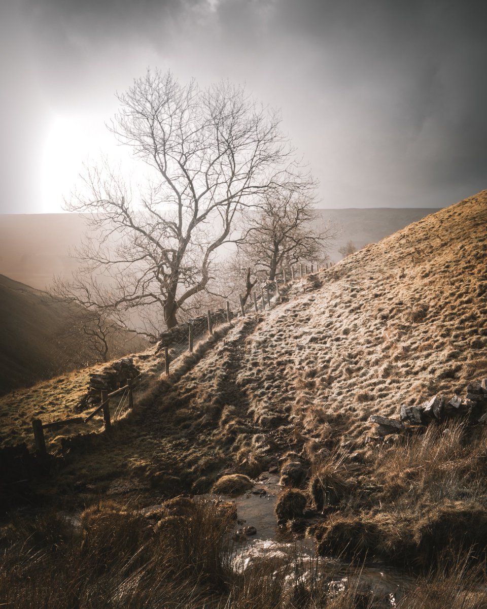 joc_creative's tweet photo. Hey! Haven’t been on here in a while so heres some shots from Buckden in Yorkshire 🌲 #theyorkshiredales https://t.co/Z7SvzmvSQj