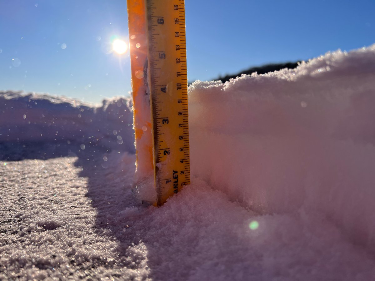 Laura Brown tweet media