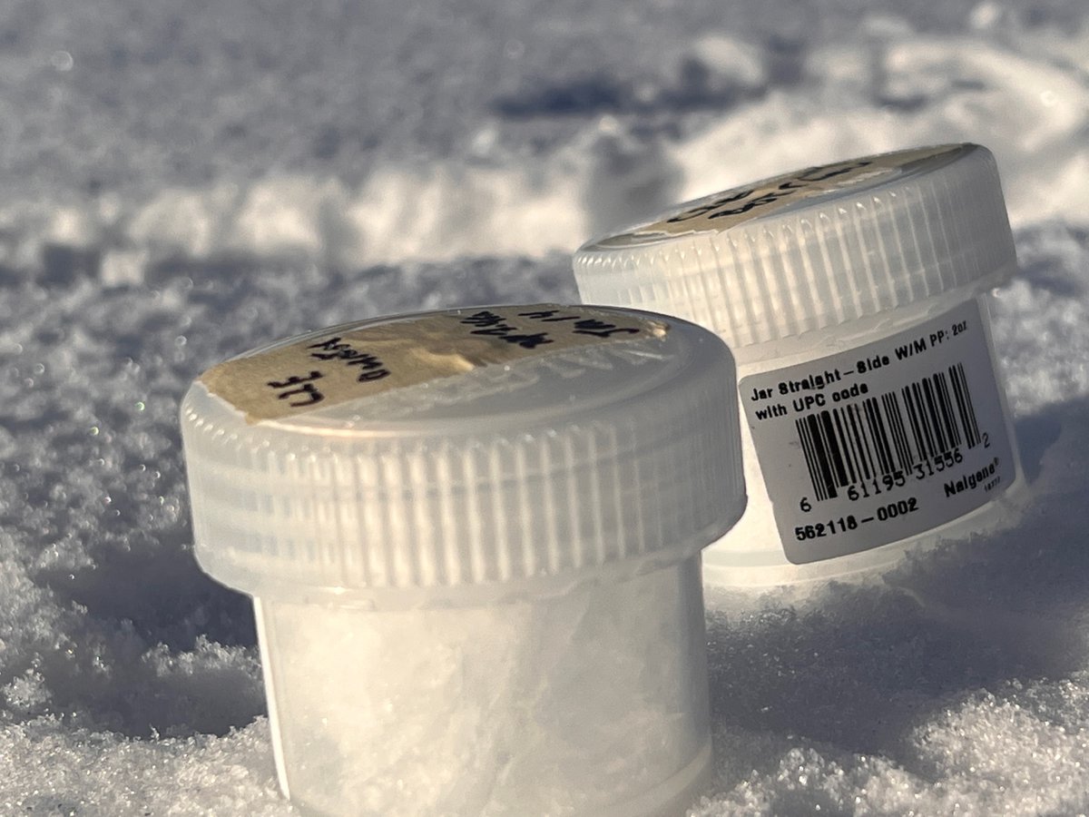 Laura Brown tweet media