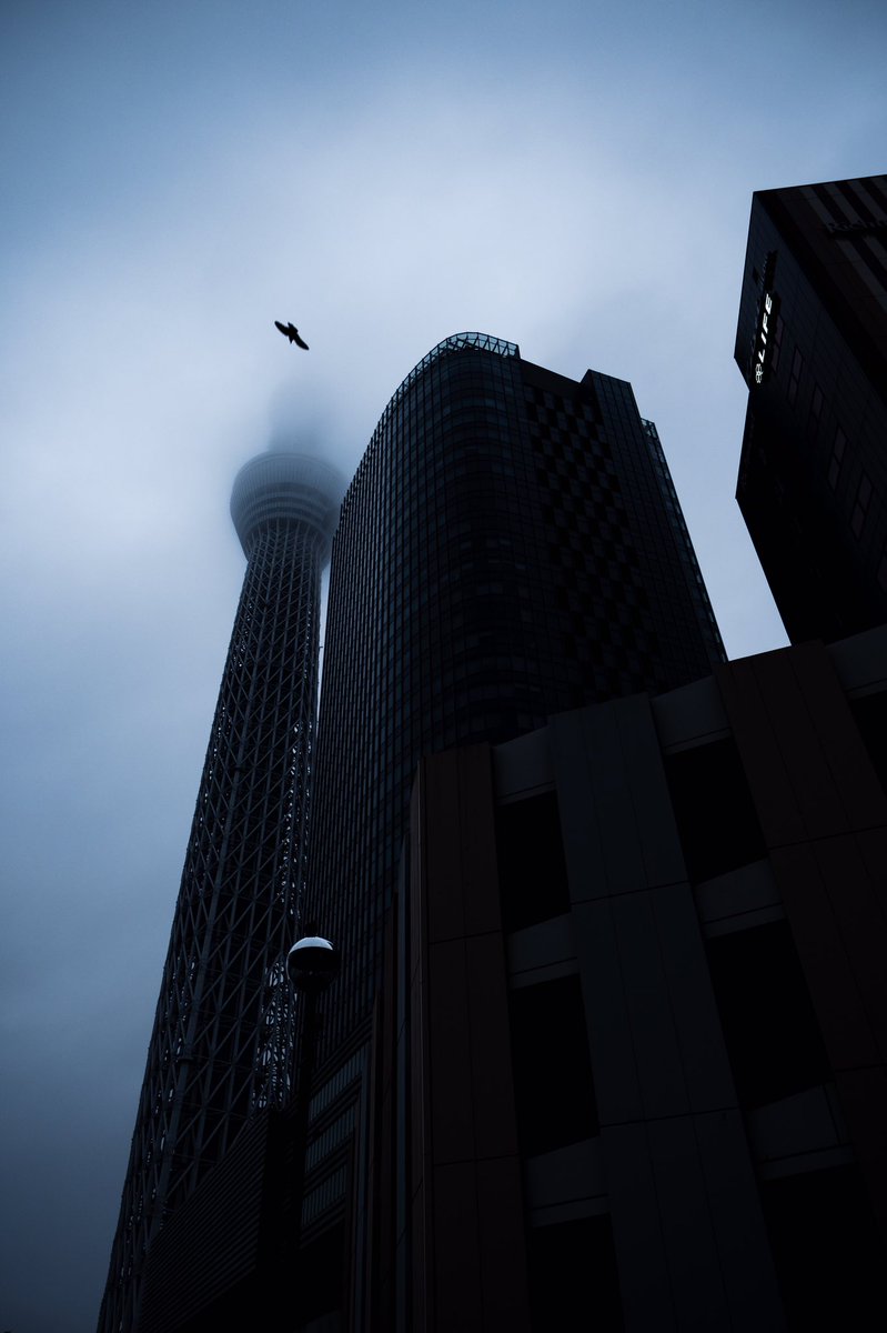 勅使河原にじゅう (@NijuTeshigawara) / Posts / X