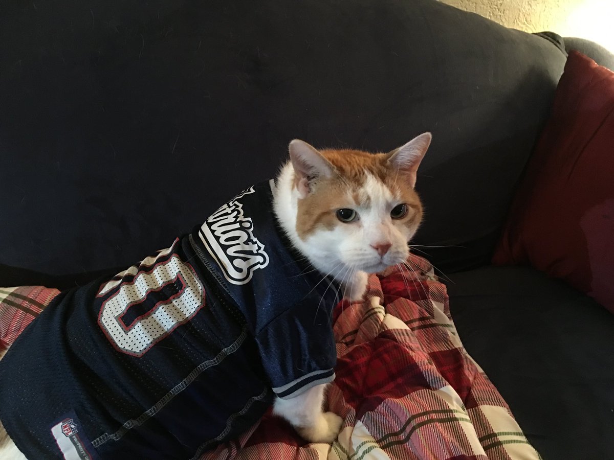 MoePug's tweet photo. @Patriots @NFL #LetsGo https://t.co/hQo77Wu3KY