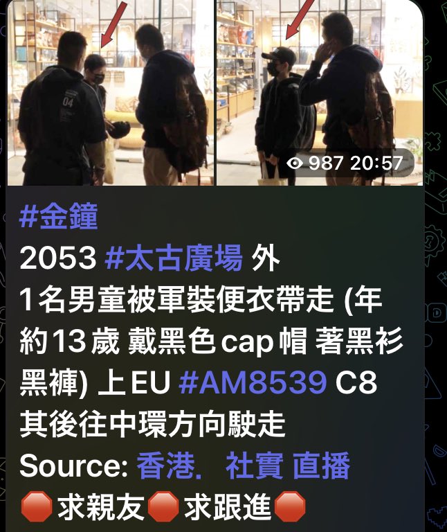 Saygoooidbye's tweet photo. A 13 yo kid was taken away by #HongKong police outside Pacific Place. Today is a memorial day for social activist Mr. Leung Ling-kit. We believe that he was taken to Central Police Station source: https://t.co/qS5HaknLzO https://t.co/QvyaW0blX5