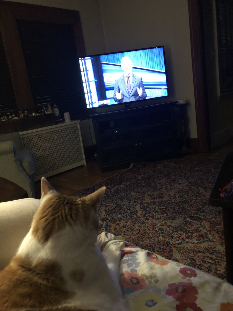 MoePug's tweet photo. @Jeopardy @Jeopardamy #smahtcat my cat brother @BigLouis10 watching @Jeopardy https://t.co/NXB3QtT198