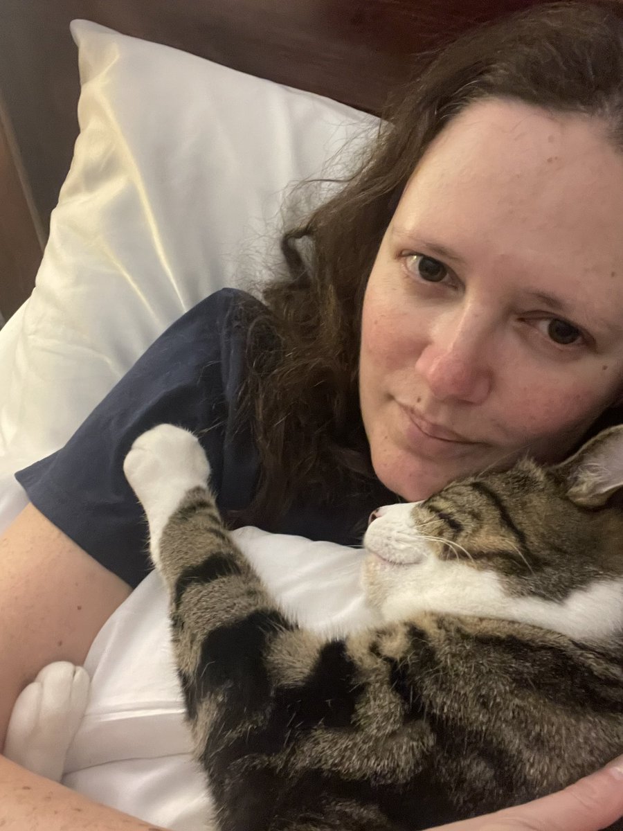 JJ_brum's tweet photo. Maxwell came into my life just 9 weeks old, sadly taken far too soon just 2 1/2 years old. He was adventurous from the start. I’m so glad his cheeky naughty escapades were able to entertain you all but he was also so loving, right up to the end. Farewell beautiful #maxcam x https://t.co/7Kxz3PGHf3