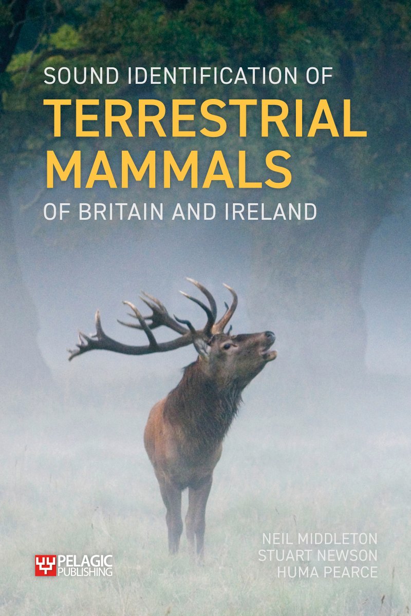 BatAbility's tweet photo. Really pleased to be working with @NewsonStuart &amp; @Mostlybats on Sound Identification Terrestrial Mammals Britain &amp; Ireland. Everything from Pygmy shrew to Red deer. If anyone has recordings/video (inc calls) they can contribute, please send to  neil.middleton@batability.co.uk https://t.co/qyElf80lDe