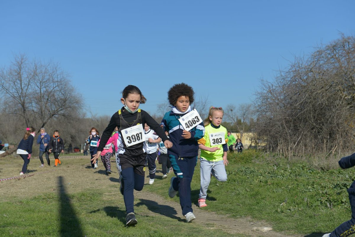 Ayto_Valdemoro's tweet photo. Más de 350  niños y niñas de Primaria y Secundaria han disfrutado hoy de un día espléndido en el parque Bolitas del Airón, mientras participaban en la fase local de campo a través, enmarcada en el programa regional de Deporte Infantil @ComunidadMadrid. https://t.co/bQwe53zMqU