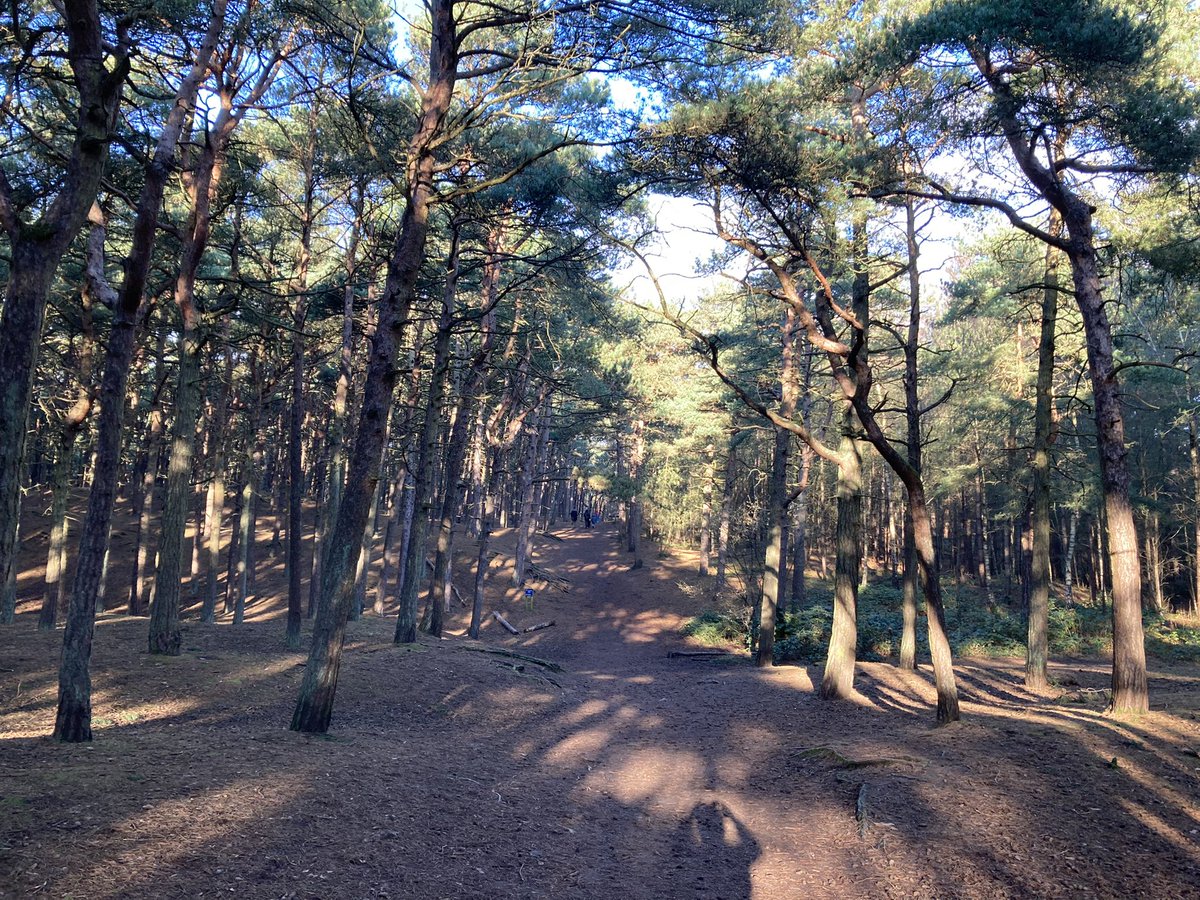 Hannah Jowett tweet media