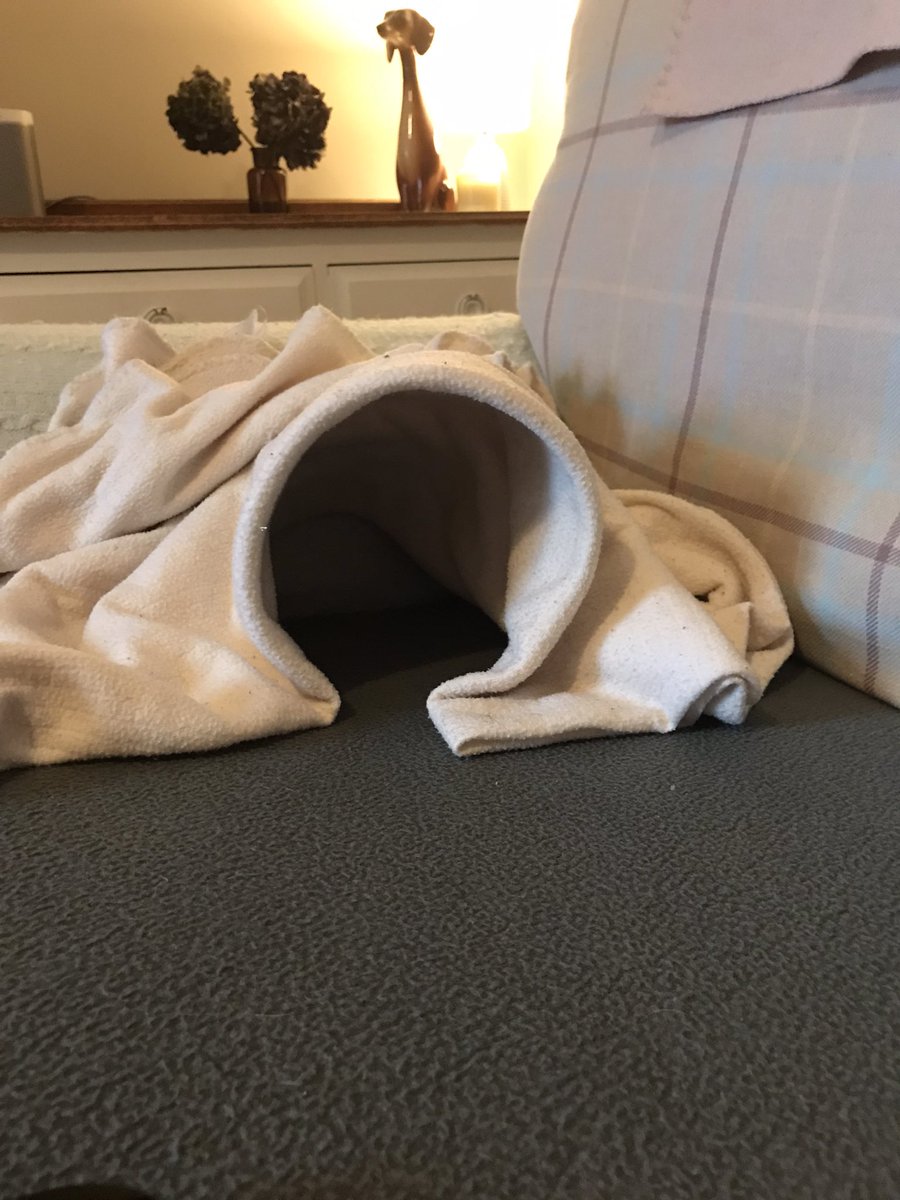 In use. Out of use. Saturday snoozes