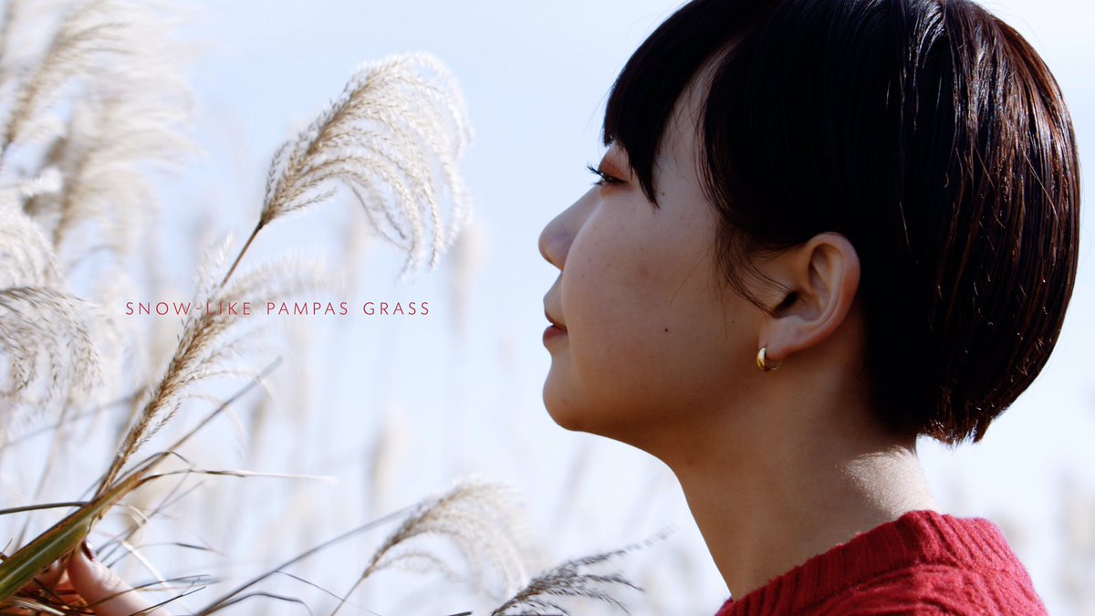 BMPCC 6K Proを使って映像作品を作ってみました！🎥
綺麗だ…画質もモデルさんも…

#bmpcc
#動画制作
#KCVlog
#生石高原

youtu.be/qLHDlgUuP4M