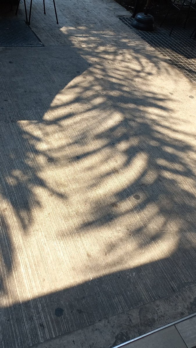 leiladamici's tweet photo. Alguien también noto el color extraño que esta teniendo el sol estos días de calor?
#buenosaires #calor #sol #extraño #caba #caos https://t.co/gu3oH9cBpq