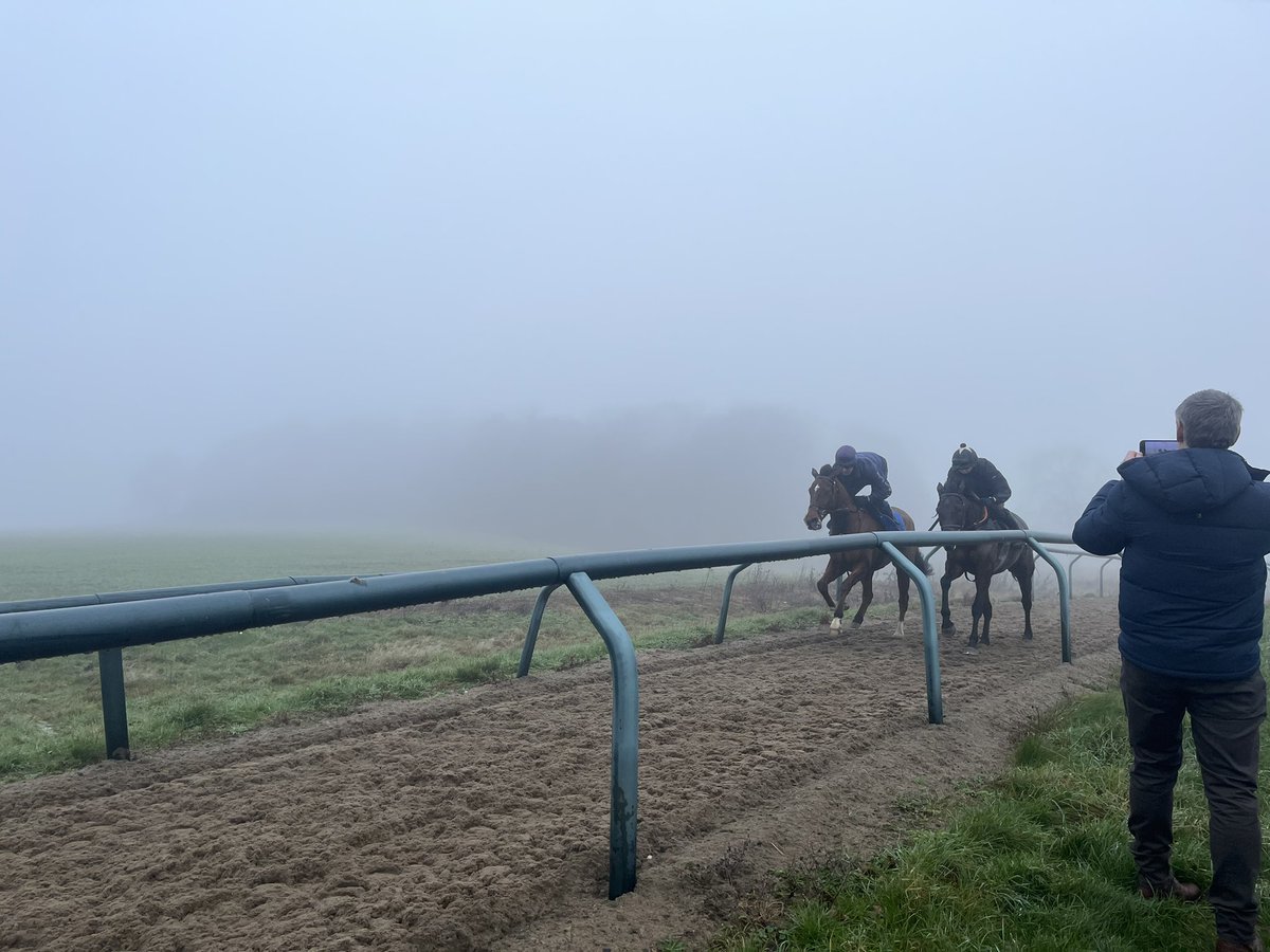 GallopingToGive's tweet photo. A cracking misty morning with some of the team from @Ecomotive1 joining for a tour &amp; a trip up the gallops @AlexHalesRacing. We hope you enjoyed your time and learnt more about training horses. All washed down with a delicious bacon 🥓 butty! Now onto @WarwickRaces #weekendwork https://t.co/iul1gBgLqL