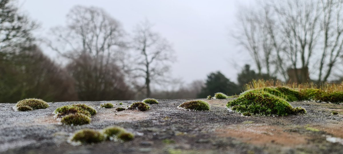 PAW348's tweet image. 