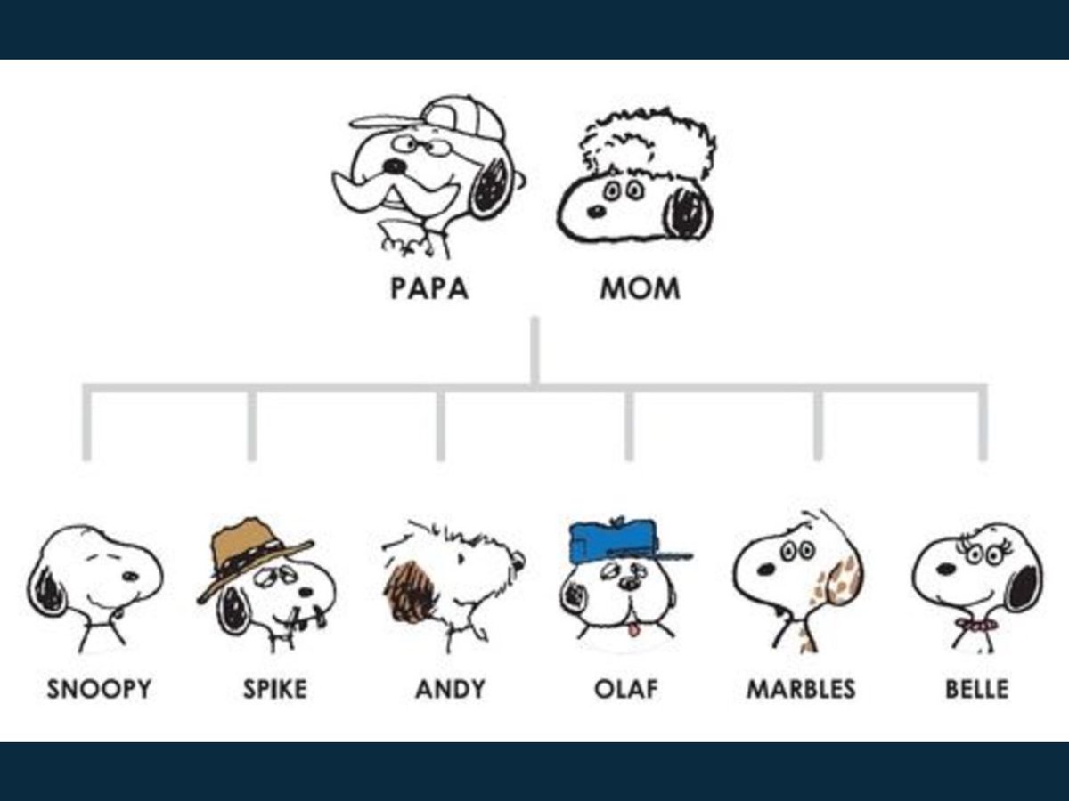 Annette Michelle tweet media