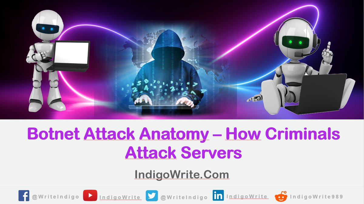 WriteIndigo tweet picture
