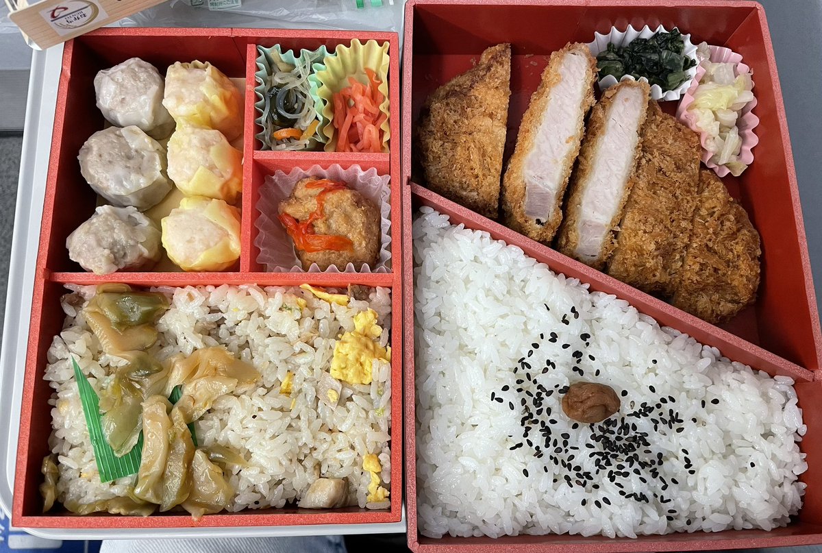 〜怒りの中華弁当〜 お弁当に追いシウマイプラン！…だったのに、 探せど探せど、朝の東京駅で崎陽軒のシウマイがなかったの。 真空パックの謎のやつしか… 泣きながら、怒りの中華弁当をオン！ でもや