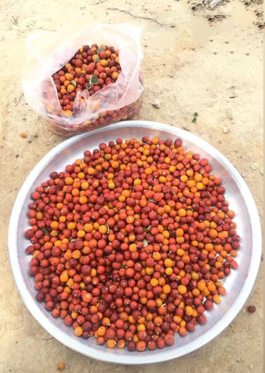 خب حالا بیایید بگید ببینم کیا میدونن اینا چی ان؟ 🤓