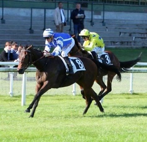 Yeguada Centurión FAN tweet media