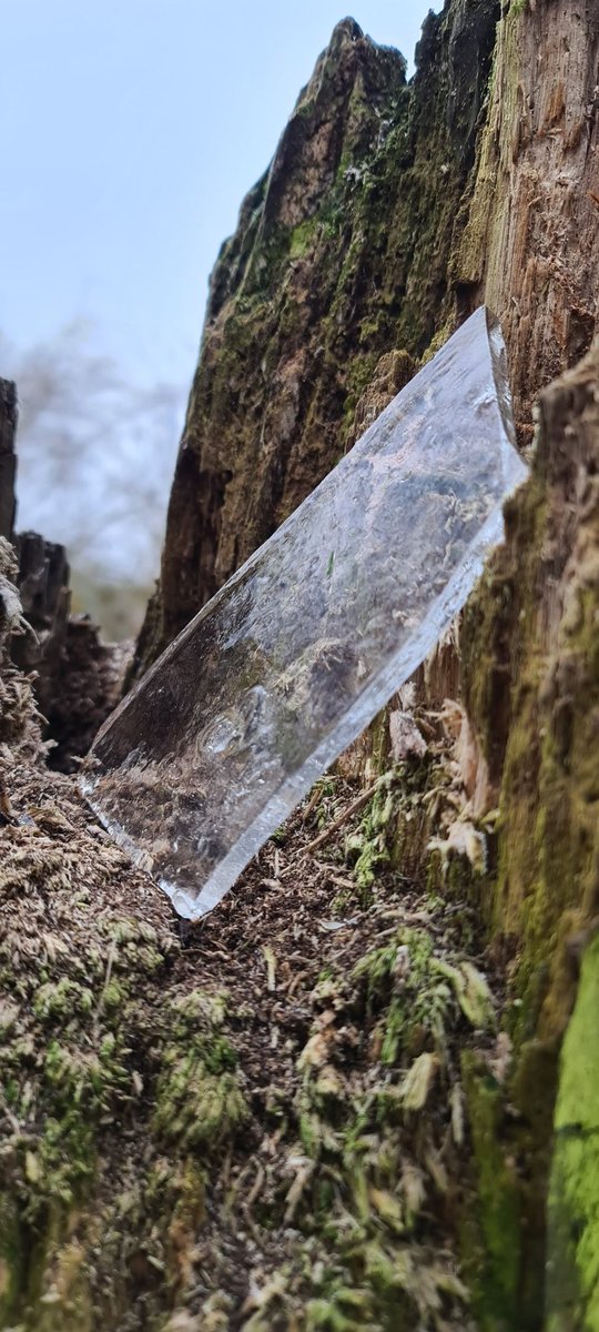 PAW348's tweet image. Ice, ice baby