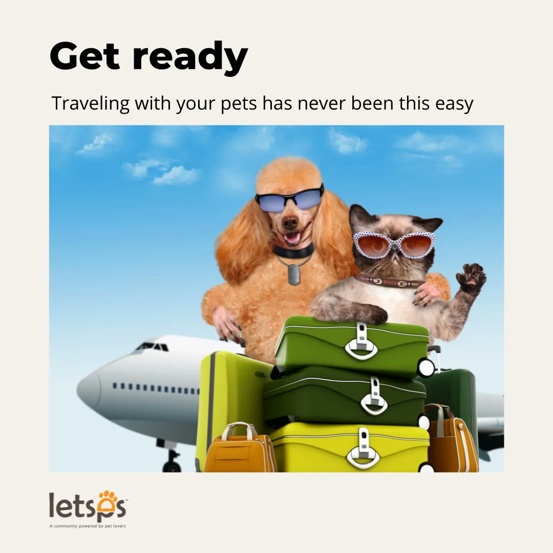 letsps_'s tweet image. Find the best places to visit with your pet.👌Support the letsps Travel app at 
👉 buff.ly/3qTjFV0
-
-
#letsps #letspstravel #dogfriendly #pettravel #travelblogger #dogcarrier #petcarrier #travelwithdog #roadtrip #catcarrier #rvlife #catsofinstagram #puppypetcarrier