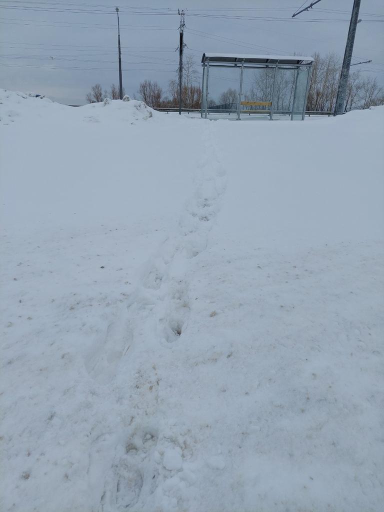 alex_01630's tweet photo. @SamMobilePriem
Ув. Азаров Д.И, для кого построили новую дорогу? Явно НЕ для людей! Почему перенесли общественный транспорт на новый мост подальше от людей? Где теперь остановки? Как до них добраться? Со дня открытия моста ни разу ни кто ничего не почистил. https://t.co/X1C0wuxt8J