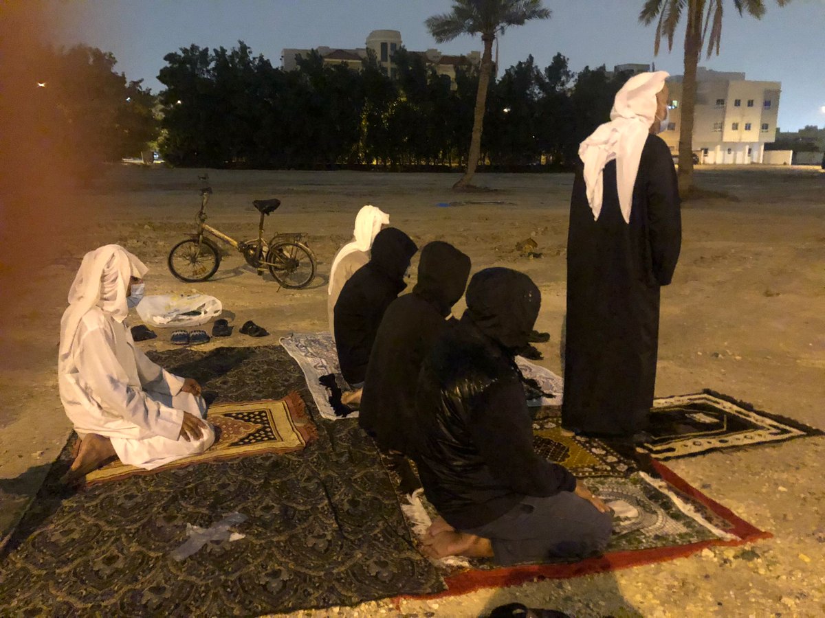 14 فبراير أون لاين tweet media