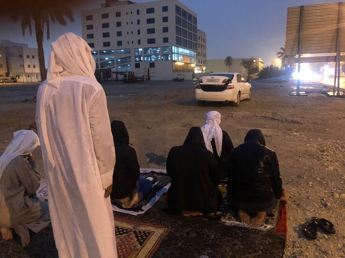 14 فبراير أون لاين tweet media