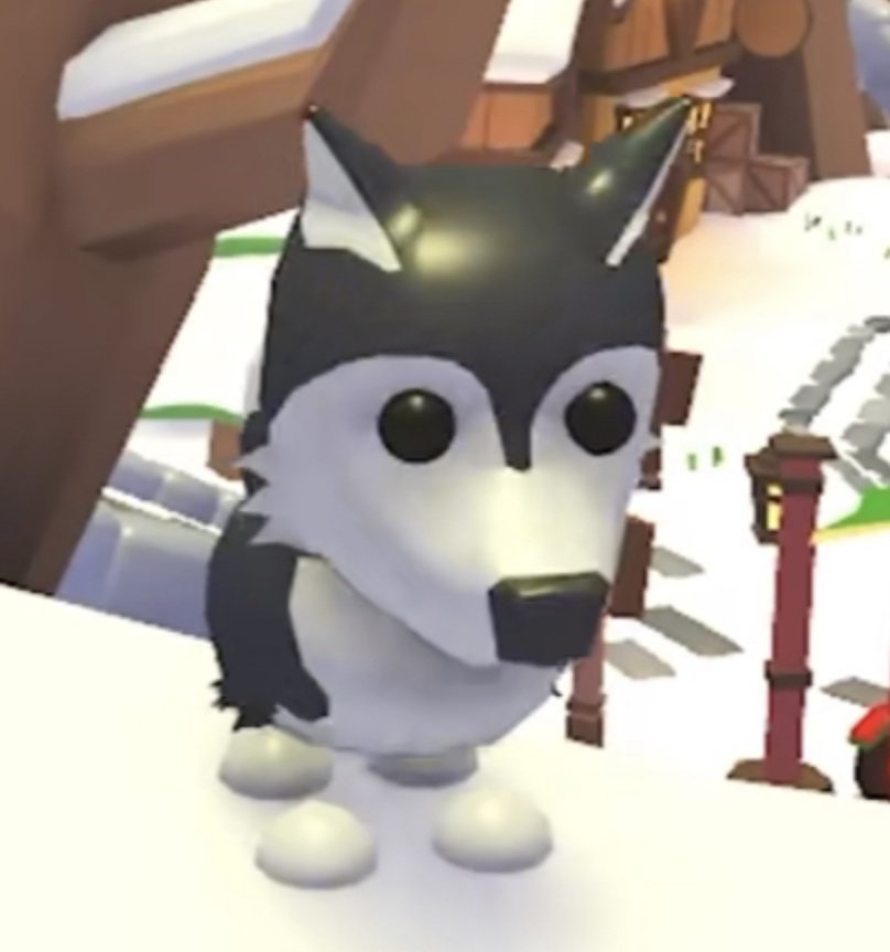 ItsHavender's tweet photo. My first giveaway!
GIVEAWAY HUSKY!! 🐺🎁
~-~
Rules :
🪐 Like this Tweet
🪐 Retweet
🪐 Follow!
-- 
Ends if i reach 100 followers :D
#AMTrading #adoptmegiveaway #adoptme #roblox #robloxgiveaway #Giveaway #husky https://t.co/aXc5TftRVp