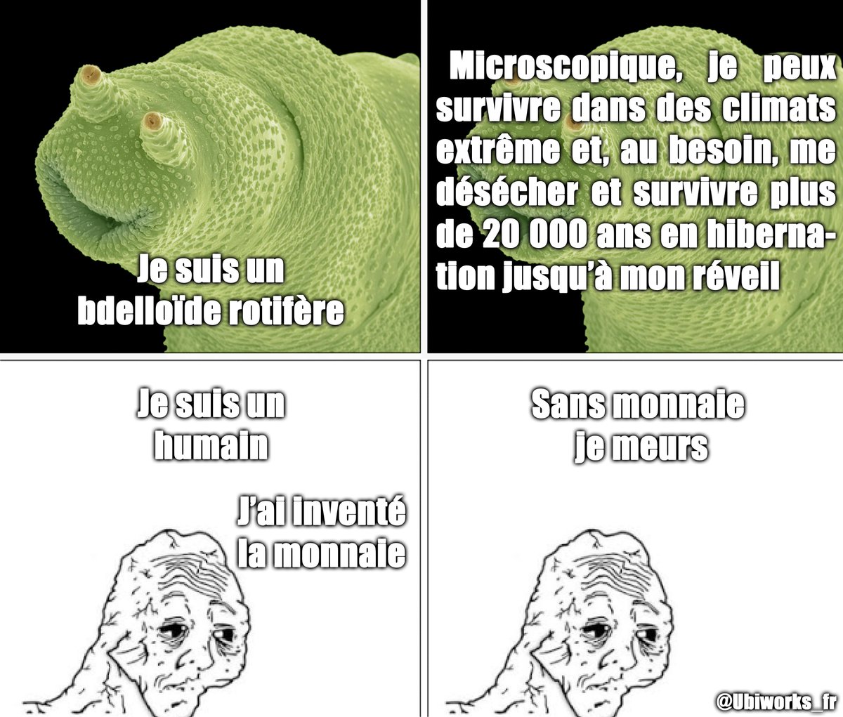 ubiworks_fr's tweet image. 👽

#bdelloid #basicincome #revenudebase #revenuuniversel #revenuminimumgaranti