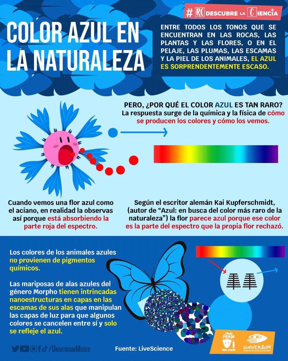 UniversumMuseo's tweet photo. Checa este super dato 🔵 👇

#RedescubreLaCiencia https://t.co/WtocgMJYCF