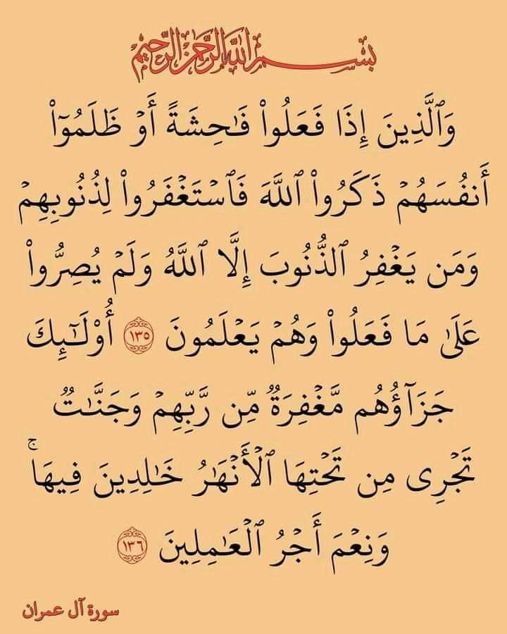 sayedmokht's tweet image. 