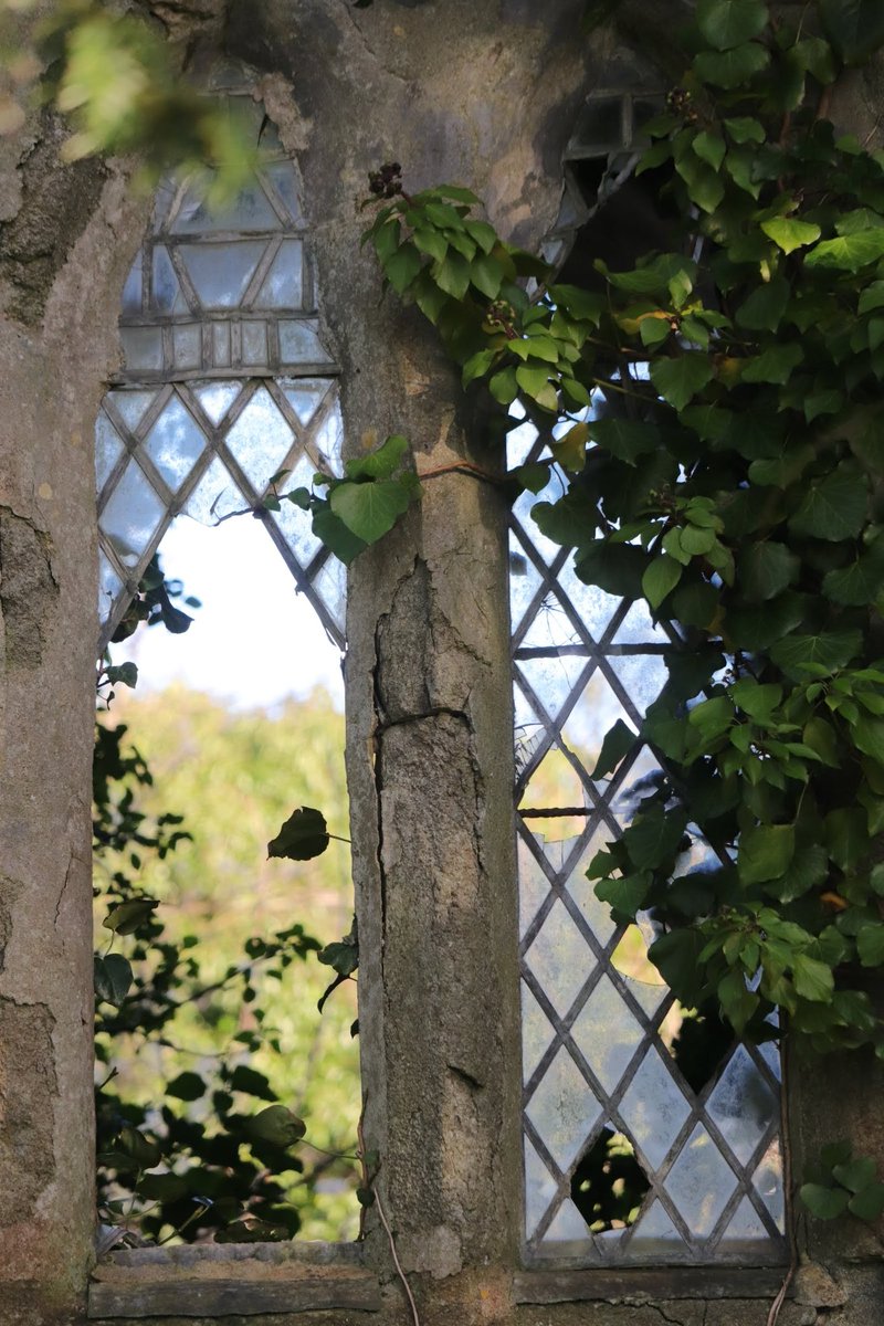 Nature takes back #abandonedchurch