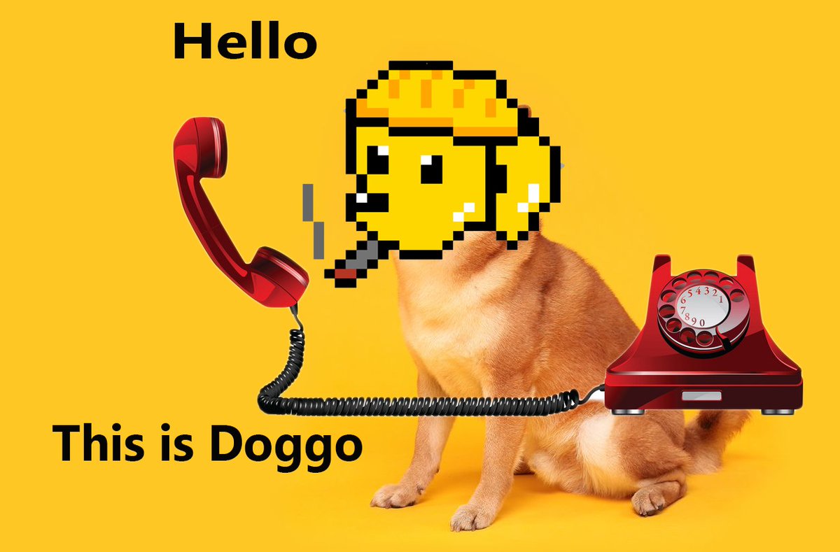 EGLDoggo's tweet photo. 👀Who's there?!?
#egldoggo #NFTs #ElrondCommunity #doggopack https://t.co/X7XyF9Yzij