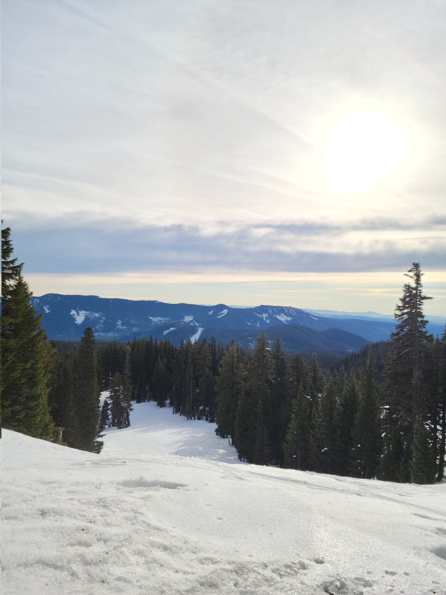 IndyRugz tweet media