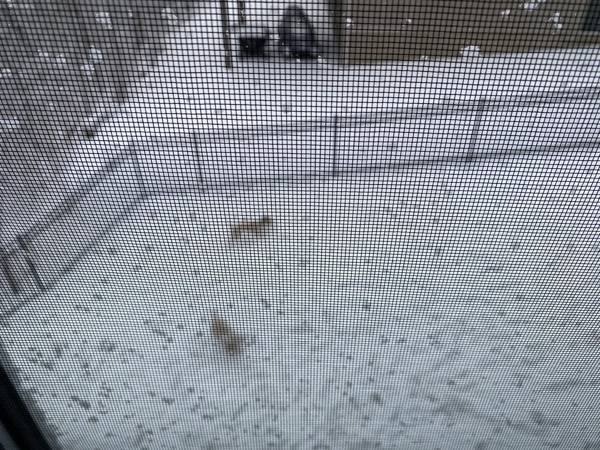 DrJonesPRT's tweet photo. Cannot get these puppies inside! Shaved their hair off last week 😬 but they don’t seem to care. They LOVE the snow ❤️❄️🐾 #ColdNeverBotheredMeAnyway #BestDayEver #LucyAndIzzy https://t.co/qxRsD0K1bo