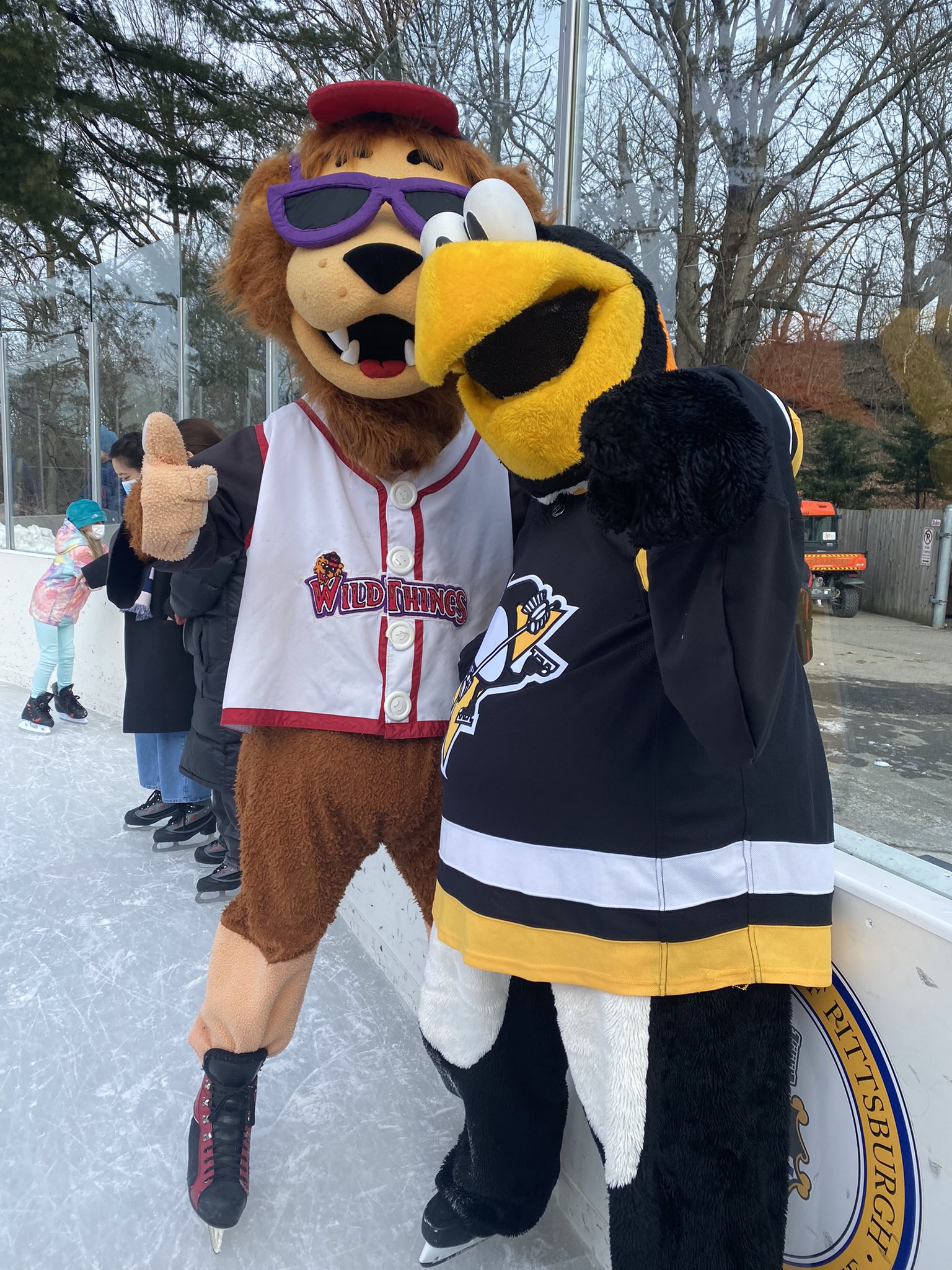 Washington Wild Things Washwildthings Twitter