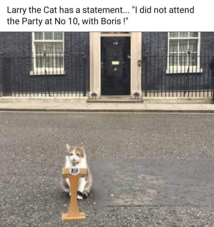 FozFozzie's tweet photo. https://t.co/AqA8BKMWUy