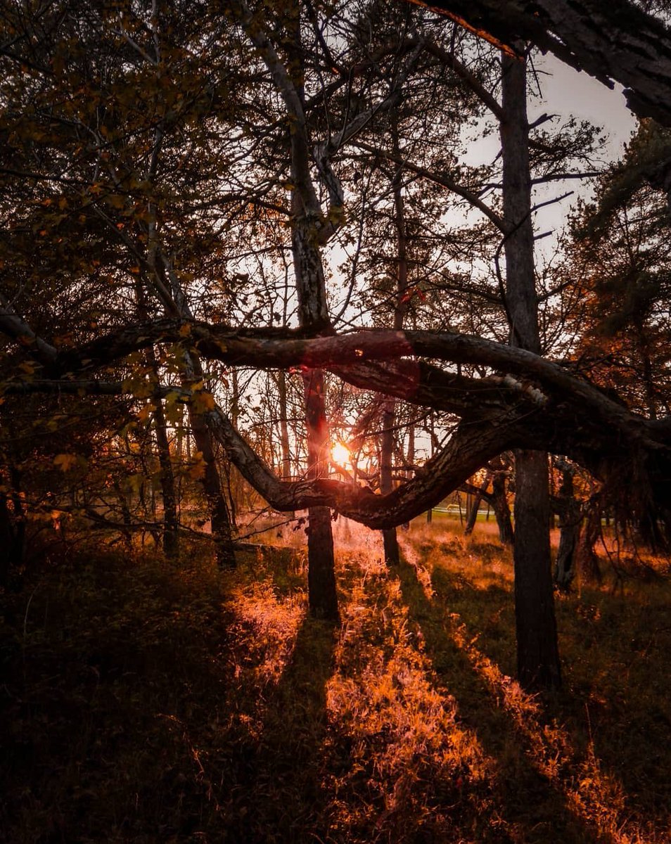 andrei_cnstn's tweet photo. @nickfabian_nft Romania sunset🔥🤙🏼 https://t.co/Yke9U5cTzX