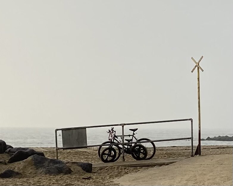 DF_Lewis's tweet image. Waiting for owners to return… #XBike #XBikes