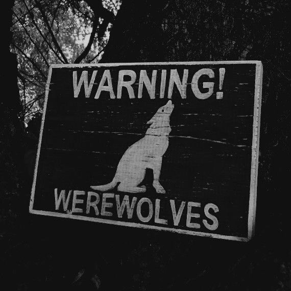 Howl From Forbidden Forest tweet media