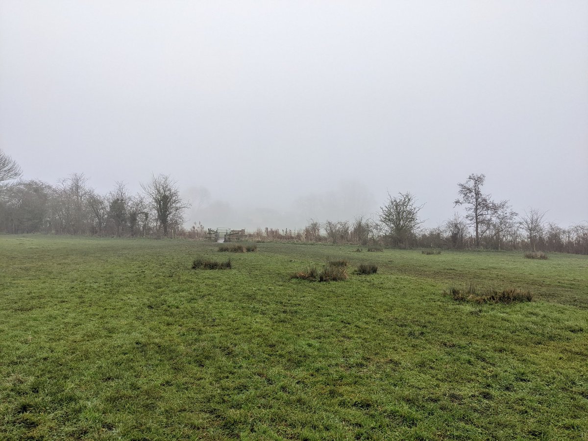 Nice walk in Sudbury 🚶🏾‍♂️🚶🏻‍♂️🚶‍♀️