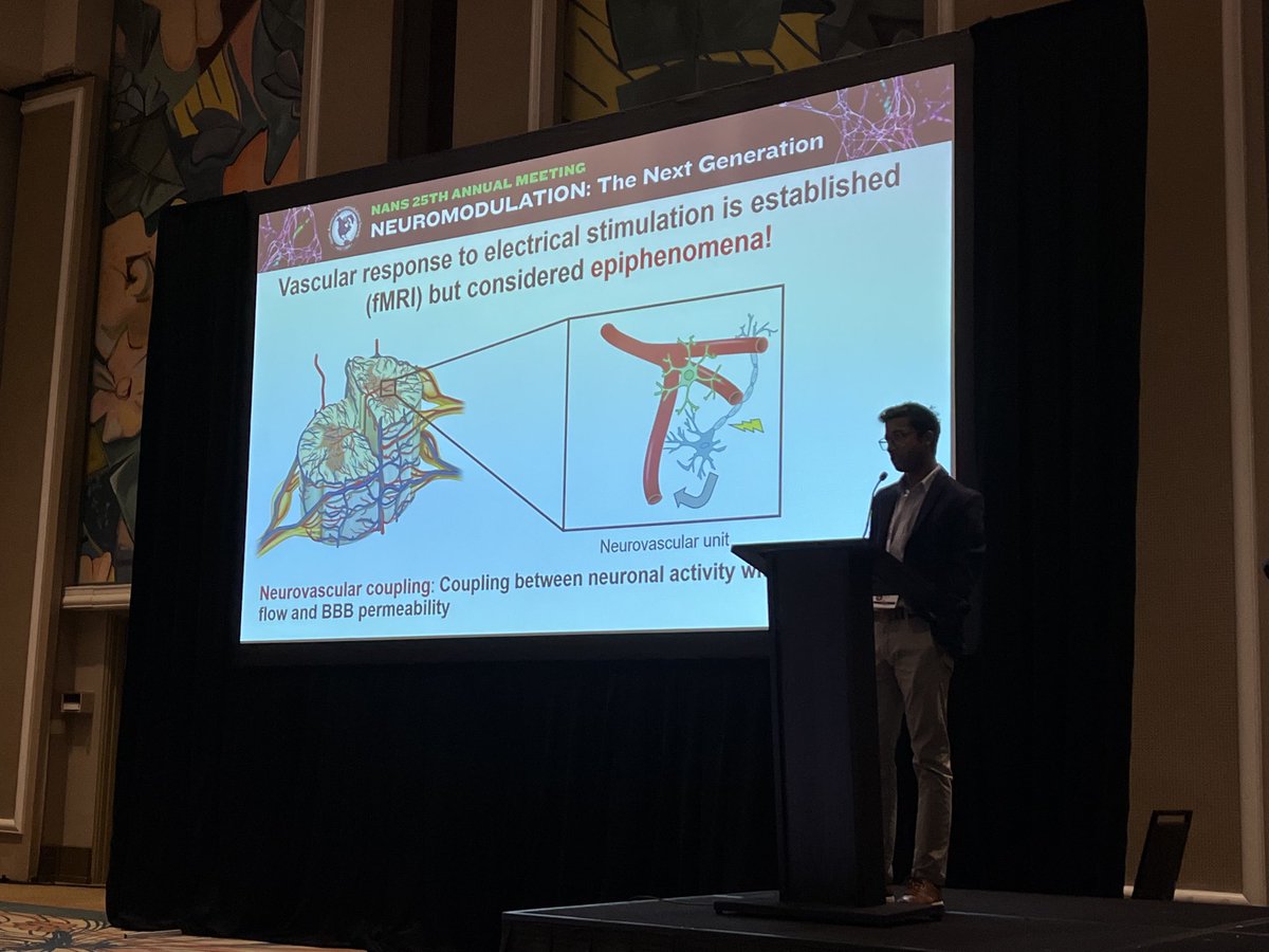 MaromBikson's tweet photo. “Neurocapillary-Modulation” by ⁦@niranjank_2⁩ at ⁦@NANS_ION⁩ conference. https://t.co/uc5NN2Sekg