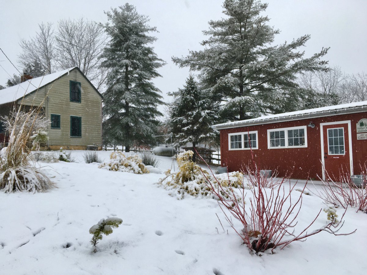 hvtreefarm's tweet photo. Check out the farm's first measurable snowfall of 2022. It's a beaut! ❄️🌲❄️🌲 #HVTF #2022snowfall https://t.co/gjvLKOsKKB