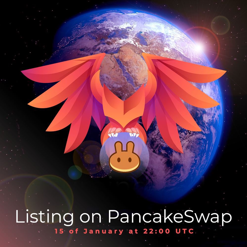 MetaFireDot tweet media