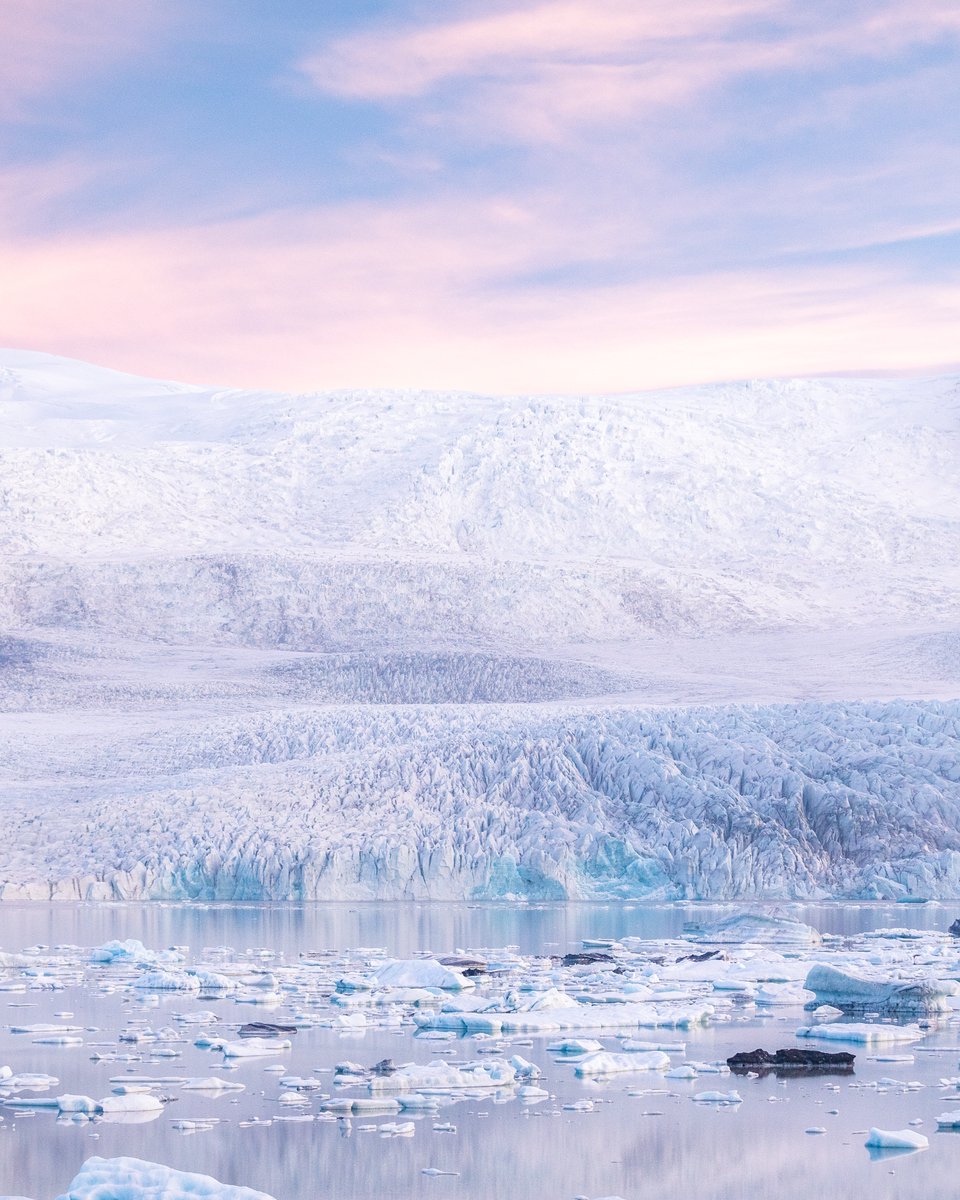 Michael Matti tweet media