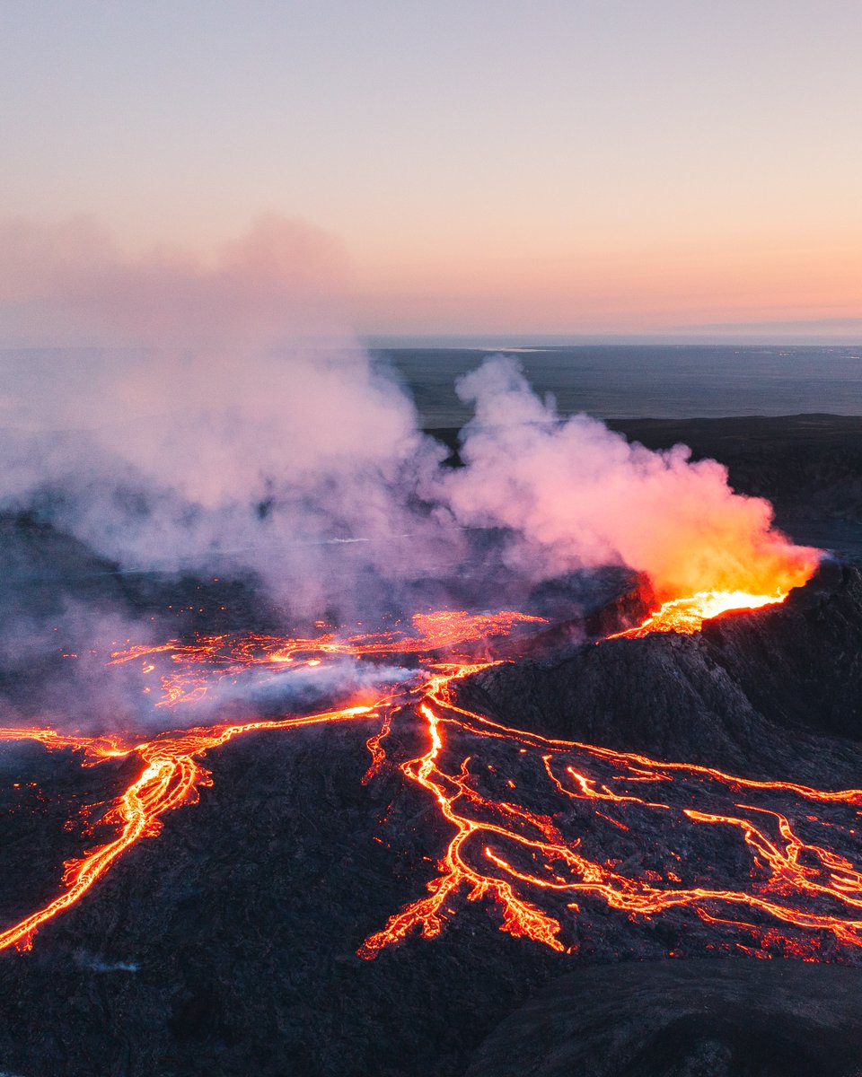 Michael Matti tweet media