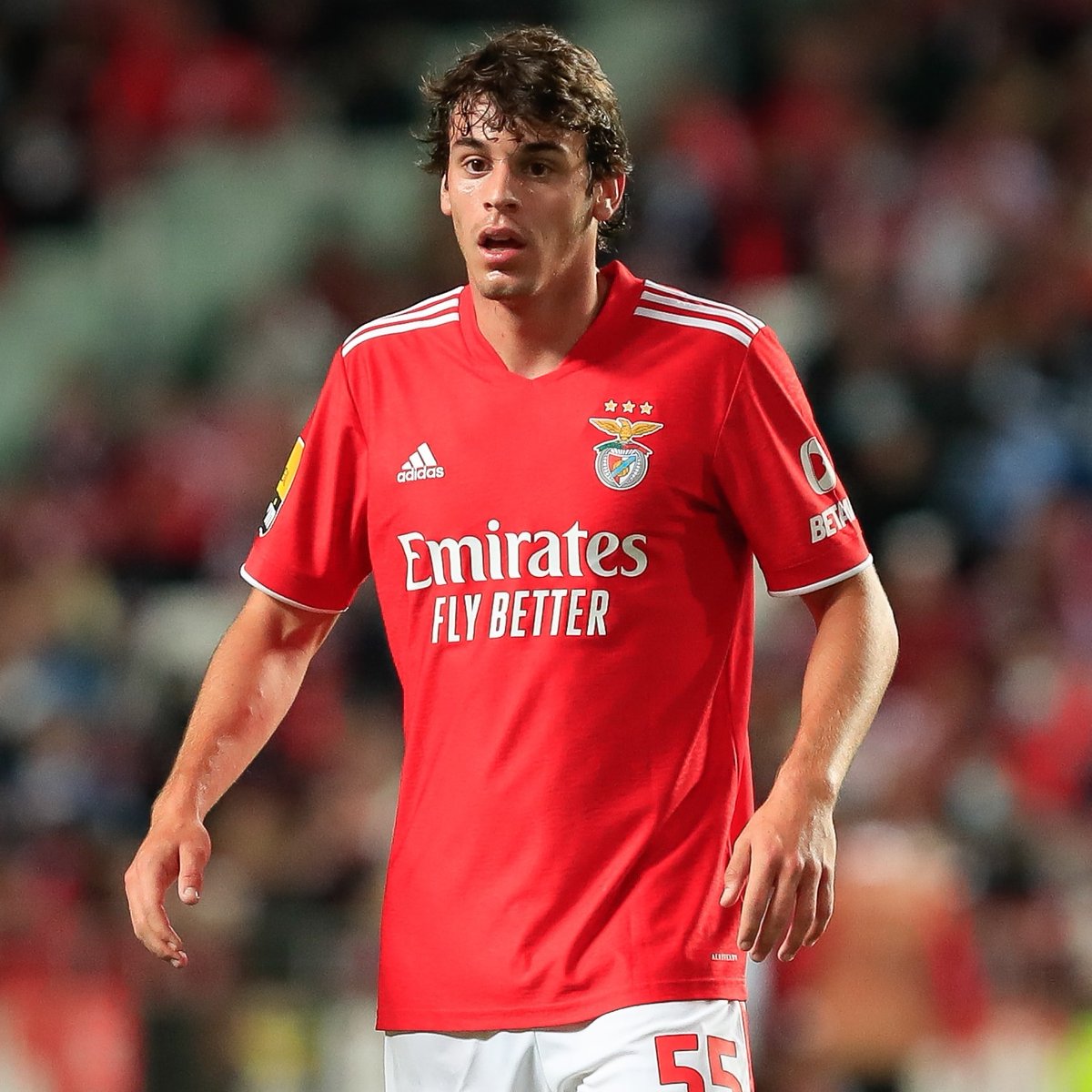 Paulo Bernardo é titular pela primeira vez no Benfica contra o Moreirense.